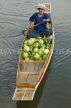THAILAND, Damnoen Saduak (Floating Market), vendor rowing boat with pomelos, THA2183JPL