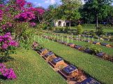 THAILAND, Kanchanaburi, War Cemetery, THA1946JPL