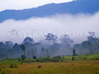 THAILAND, Khao Yai National Park, landscape scenery and mist, THA2215JPL