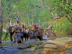 THAILAND, Northern Thailand, Chiang Mai, elephants being bathed, THA1849JPL