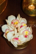 THAILAND, Northern Thailand, Cymbidium Orchids, THA2301JPL