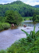 THAILAND, Northern Thailand, Mae Hong Son, elephant trekking, River Pai, THA1848JPL