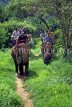 THAILAND, Northern Thailand, Mae Hong Son, elephant trekking, THA1960JPL