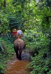 THAILAND, Northern Thailand, Mae Hong Son, elephant trekking, THA328JPL