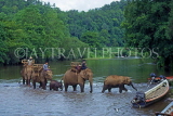 THAILAND, Northern Thailand, Mae Hong Son, elephant trekking, across River Pi, THA1856JPL
