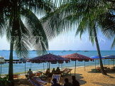 THAILAND, Pattaya, beach, sunshades and coconut trees, THA1956JPL