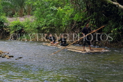 THAILAND, Phang Nga Province, KHAO LAK, Bamboo Rafting, THA4385JPL
