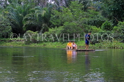 THAILAND, Phang Nga Province, KHAO LAK, Bamboo Rafting, THA4387JPL