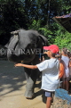 THAILAND, Phang Nga Province, KHAO LAK, Elephant Trekking, Elephant Show, THA4438JPL