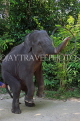 THAILAND, Phang Nga Province, KHAO LAK, Elephant Trekking, Elephant Show, THA4440JPL