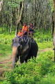 THAILAND, Phang Nga Province, KHAO LAK, Elephant Trekking, THA4419JPL