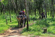 THAILAND, Phang Nga Province, KHAO LAK, Elephant Trekking, THA4421JPL