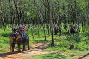 THAILAND, Phang Nga Province, KHAO LAK, Elephant Trekking, THA4422JPL