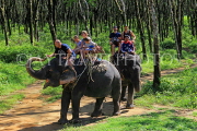 THAILAND, Phang Nga Province, KHAO LAK, Elephant Trekking, THA4423JPL