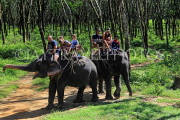 THAILAND, Phang Nga Province, KHAO LAK, Elephant Trekking, THA4424JPL