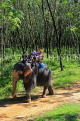 THAILAND, Phang Nga Province, KHAO LAK, Elephant Trekking, THA4426JPL