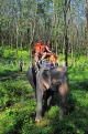 THAILAND, Phang Nga Province, KHAO LAK, Elephant Trekking, THA4429JPL