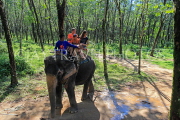 THAILAND, Phang Nga Province, KHAO LAK, Elephant Trekking, THA4431JPL