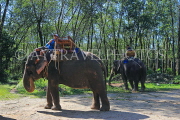 THAILAND, Phang Nga Province, KHAO LAK, Elephant Trekking, THA4433JPL