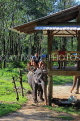 THAILAND, Phang Nga Province, KHAO LAK, Elephant Trekking, THA4434JPL