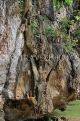 THAILAND, Phang Nga Province, KHAO LAK, Wat Suwan Khuha cave temple, rock face, THA4371JPL