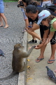 THAILAND, Phang Nga Province, KHAO LAK, Wat Suwan Khuha temple, tourists feeding Monkey, THA4380JPL