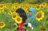 THAILAND, Saraburi, girls in sunflower fields, THA2194JPL