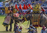 THAILAND, Surin, elephant festival, battle re-enactment, THA2121JPL