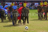 THAILAND, Surin, elephants playing football, THA2120JPL