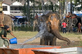 THAILAND, Surin, mahout bathing elephant, THA2118JPL