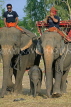 THAILAND, Surin, mahout with their elephants, THA2114JPL