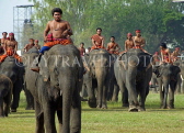 THAILAND, Surin, mahouts on their elephants, THA2115JPL