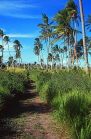 TONGA, Atata Island, walking path, and coconut trees,, TON223JPL