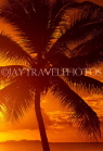TONGA, Nukualofa, sunset with coconut tree, TON110JPL