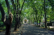 TURKEY, Istanbul, Topkapi Palace, tree lined avenue entrance, TUR404JPL