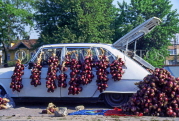 TURKEY, Istanbul, markey scene, onions hanging from car, TUR370JPL