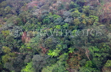 Taiwan, TAIPEI, Maokong, mountainside vegetation scenery, TAW1040JPL
