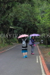 Taiwan, TAIPEI, Maokong, two walkers along mountain road, TAW1054JPL