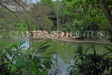 Taiwan, TAIPEI, Taipei Zoo, Bird World, Pink Flamingos, TAW358JPL