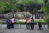 Taiwan, TAIPEI, Taipei Zoo, visitors by the Elephants, TAW201JPL