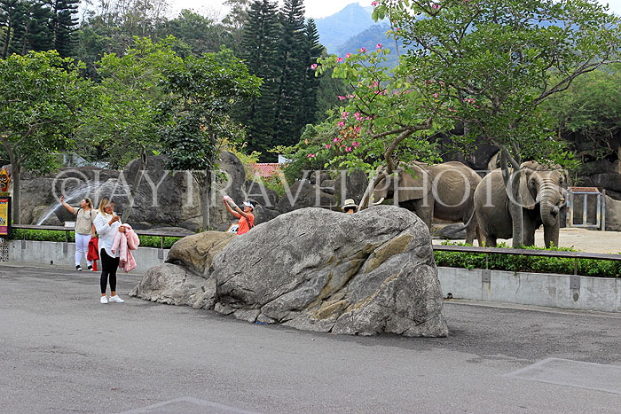 Taiwan, TAIPEI, Taipei Zoo, visitors by the Elephants, TAW202JPL