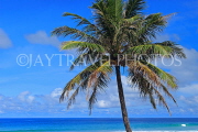 Thailand, PHUKET, Karon Beach, sea view and coconut trees, THA3615JPL