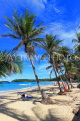 Thailand, PHUKET, Kata Beach, coconut trees, THA3684JPL