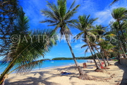 Thailand, PHUKET, Kata Beach, coconut trees, THA3685JPL