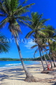 Thailand, PHUKET, Kata Beach, coconut trees, THA3688JPL