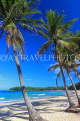 Thailand, PHUKET, Kata Beach, coconut trees, THA3689JPL