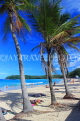Thailand, PHUKET, Kata Beach, coconut trees, THA3694JPL