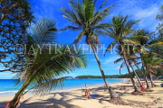 Thailand, PHUKET, Kata Beach, coconut trees, THA3695JPL