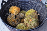 Thailand, PHUKET, Kata Night Market, Durian fruit, THA3847JPL