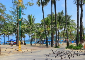 Thailand, PHUKET, Patong Beach, beachfront promenade, THA4113JPL